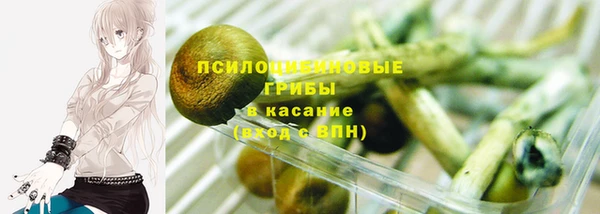 дмт Богородицк