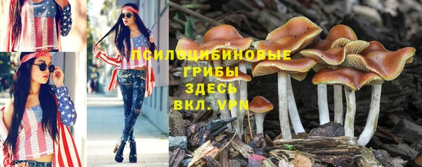 мяу мяу кристалл Белоозёрский