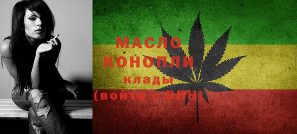 дмт Богородицк